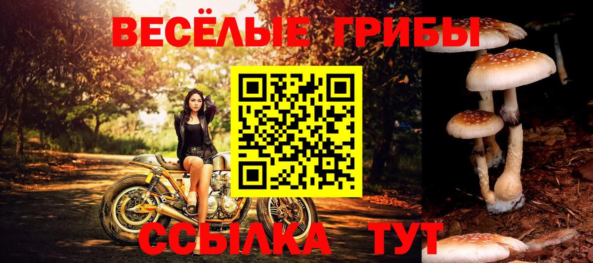 Псилоцибиновые грибы Psilocybine cubensis  Псилоцибиновые грибы прущие грибы  Вход с VPN  сколько стоит  Ивантеевка 