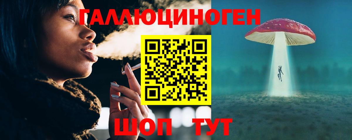 Псилоцибиновые грибы Psilocybine cubensis Ивантеевка